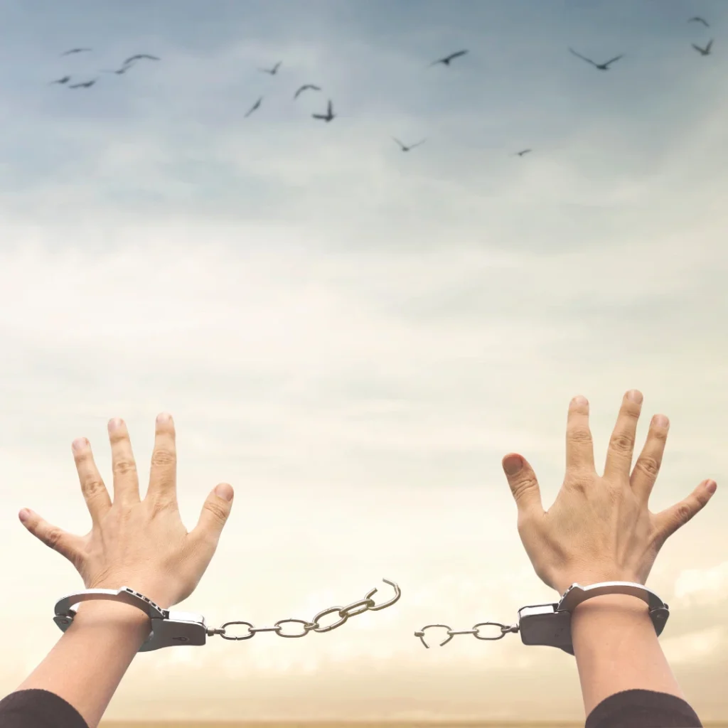 Future Freedom